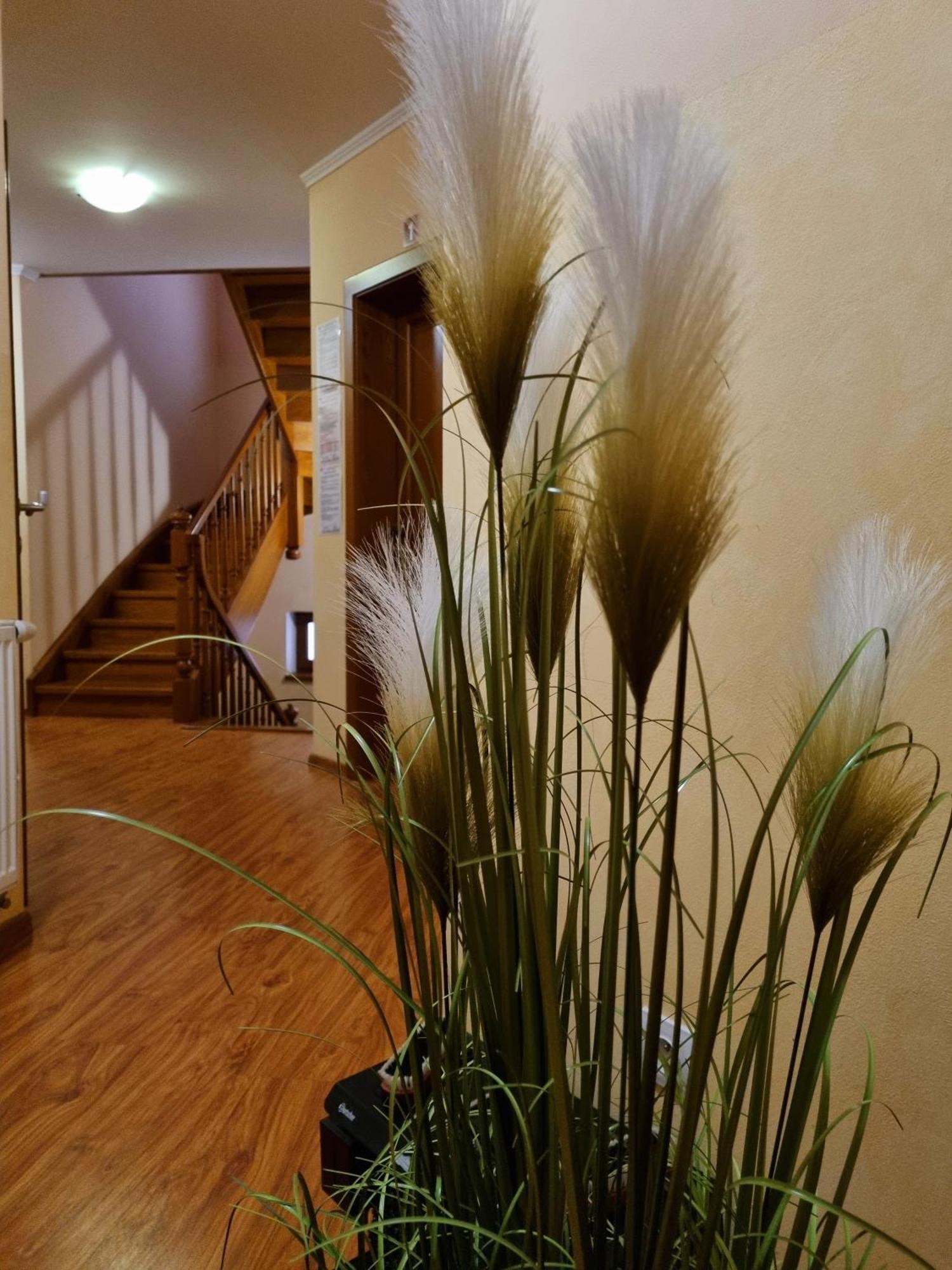 B&B Penzion Magura Bardejov Exterior foto